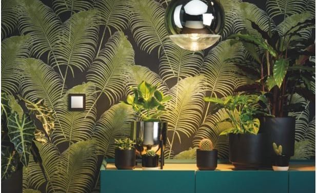 Mały detal w&nbsp;wielkim stylu – czyli seria Sedna Design & Elements