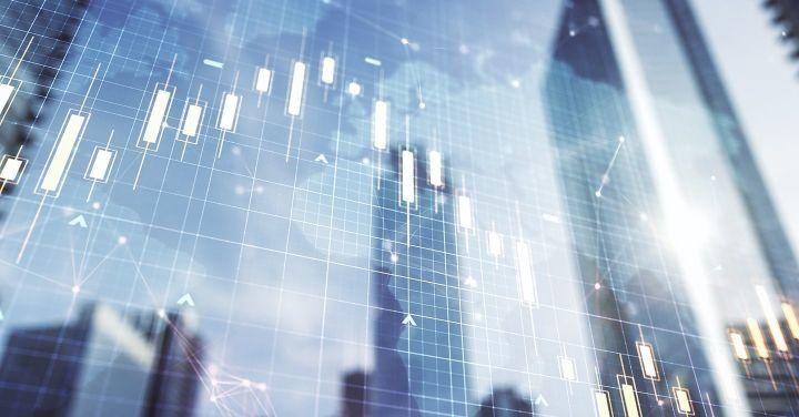 Rekordowe sprzedażowo półrocze Grupy Grodno